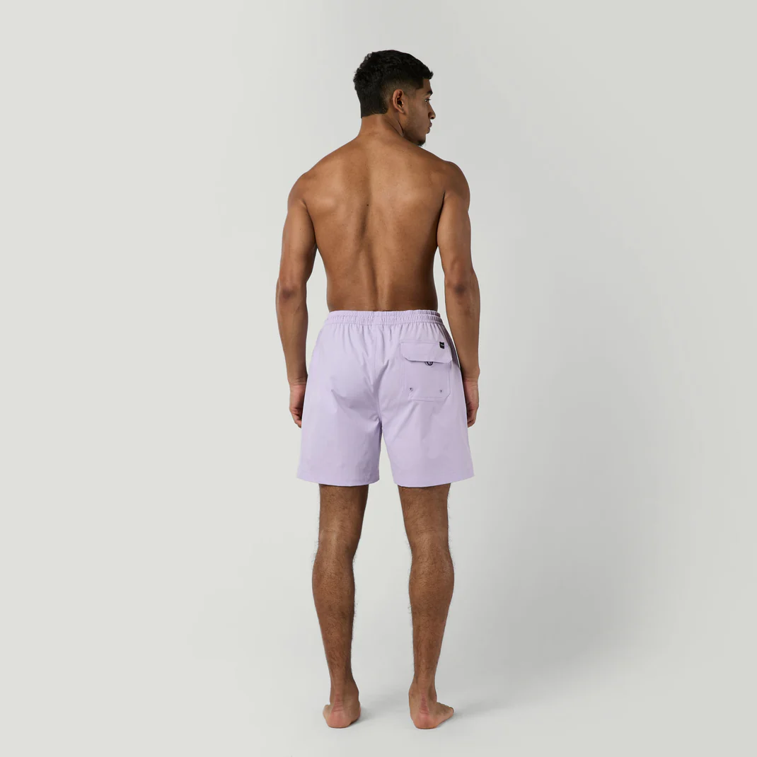 Бордшорты Mystic Brand Swimshort (WS) Lilac