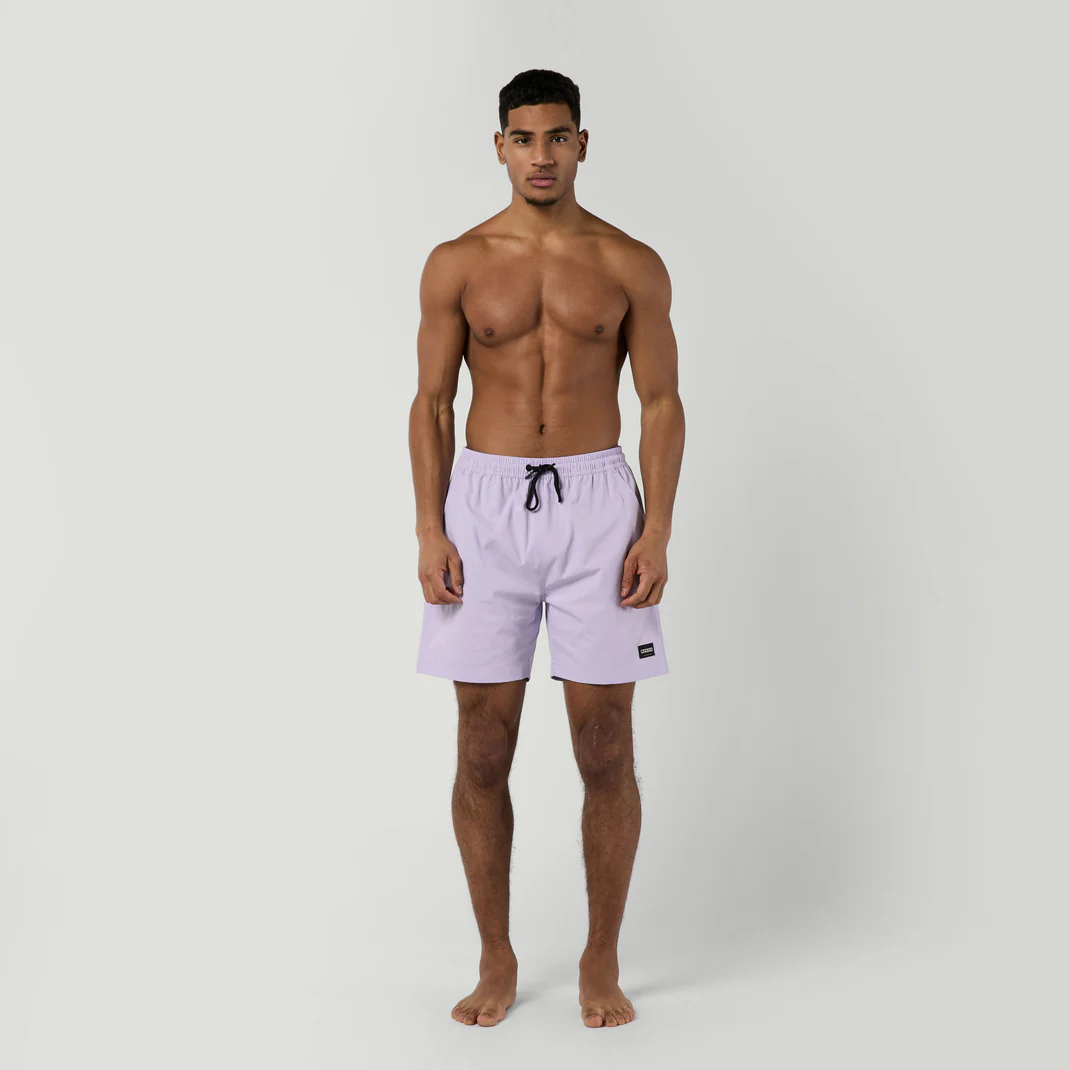 Бордшорты Mystic Brand Swimshort (WS) Lilac