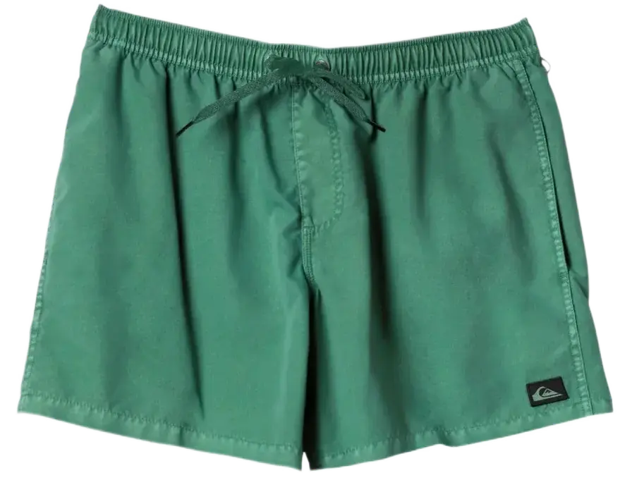 Бордшорты Quiksilver SURFWASH 15 JAMV GMP0